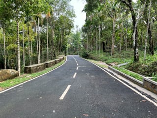 Straße und Palmen in Indien
