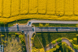 Gelbe Felder am Rande der Autobahn in Polen