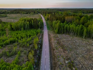 Straße durch einen Wald in Schweden